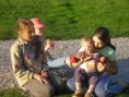 /album/fotogaleria/p8300211-jpg/