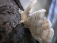 /album/fotogaleria-rohozna-a-okolie/p2050026-jpg/