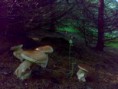 /album/fotogaleria-rohozna-a-okolie/a10082008379-jpg/