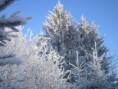 /album/fotogaleria-rohozna-a-okolie/pc230105-jpg/